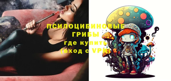герыч Верхний Тагил