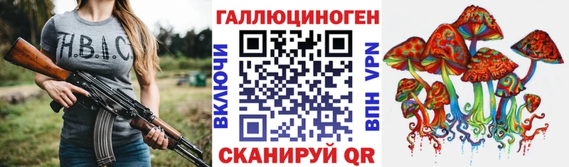 hydra вход  Новохопёрск  Галлюциногенные грибы Psilocybine cubensis 