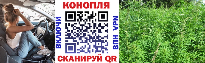 купить наркоту  Новохопёрск  МАРИХУАНА White Widow 